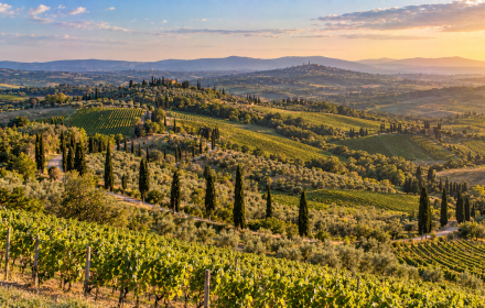 Ferienhäuser mit Pool in Chianti