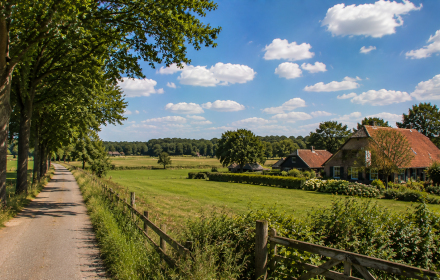 Ferienhäuser mit Pool in Nordbrabant