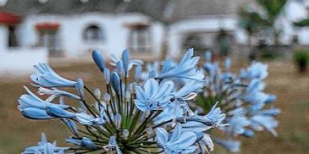Masseria Ferri: Trullo - Suite Basilico