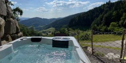 Ferienhaus Wendelinus mit Pool & Sauna, (Hausach), LHS 09512