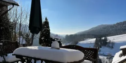 Ferienhaus mit Terrasse, Grill und Sauna 
