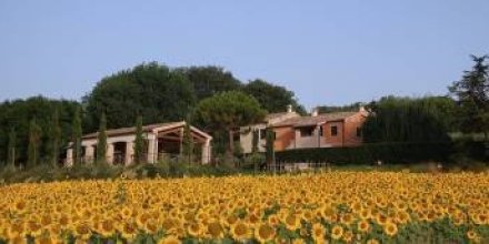 Agriturismo Rustico Del Conero con piscina: Appartamento 2 posti letto
