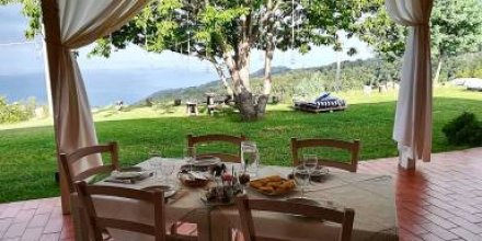 Il Cerro - Agriturismo Zagarese: Woodland