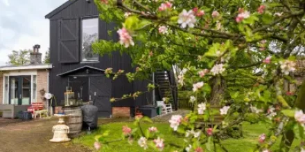 Studio Hooischuur Alkmaar/Bergen